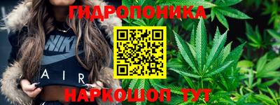 метадон Новодвинск