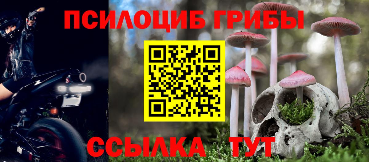 Морозовск  где купить наркоту  Вход с VPN  Псилоцибиновые грибы MAGIC MUSHROOMS 
