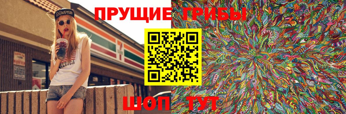 Псилоцибиновые грибы GOLDEN TEACHER Морозовск